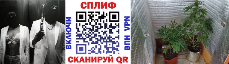 Цена Сясьстрой Кокаин  СОЛЬ  Каннабис 