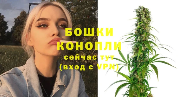 винт Липки
