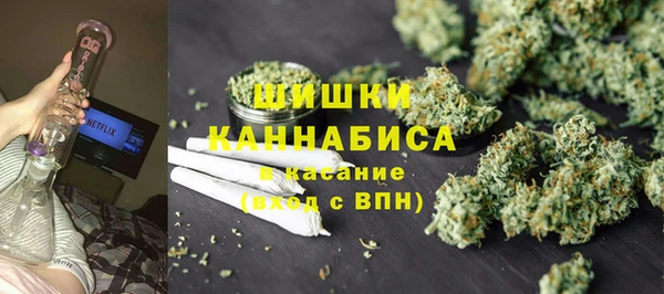 винт Липки
