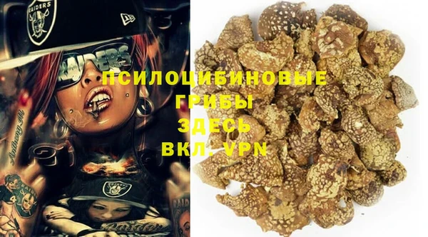 винт Липки