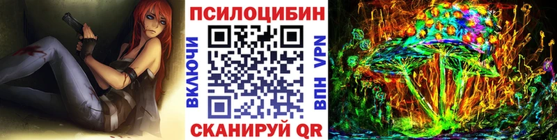 купить закладку Сясьстрой Псилоцибиновые грибы MAGIC MUSHROOMS